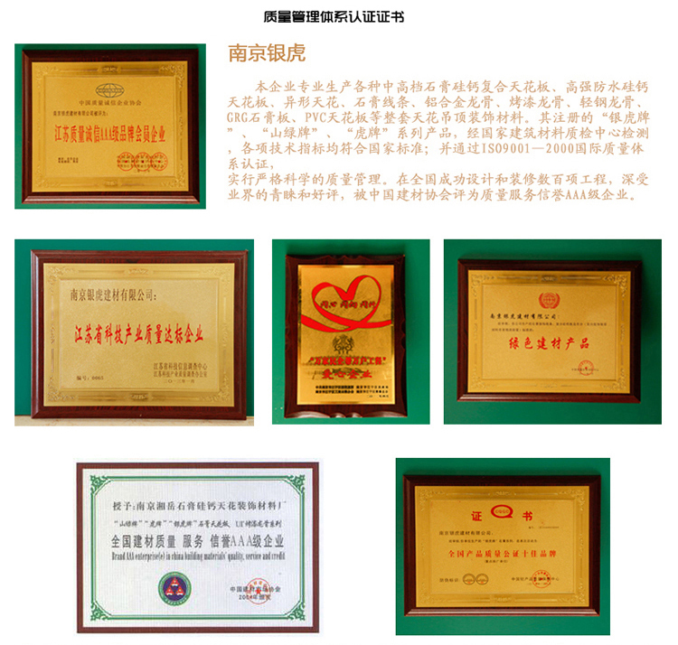 羅馬柱、羅馬柱頭系列
